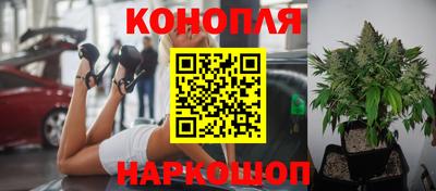 гидропоника Моздок