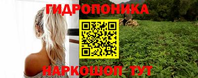 гидропоника Моздок