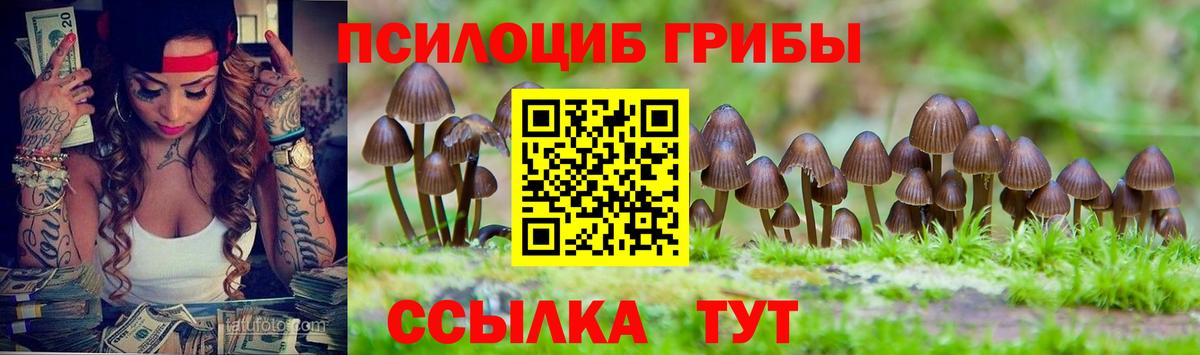 Галлюциногенные грибы GOLDEN TEACHER Ставрополь